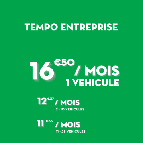 Tempo Entreprise